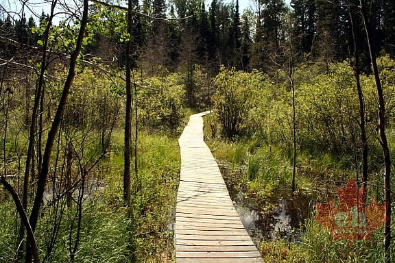 Waskesiu River Trail