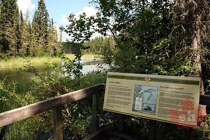 Lookouts with Information