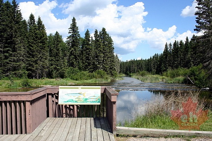 Lookouts on Waskesiu River Trail