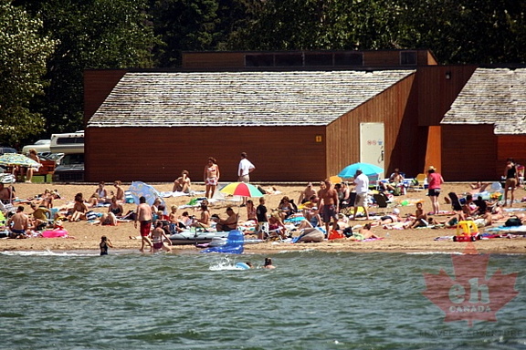 Busy Beach Day