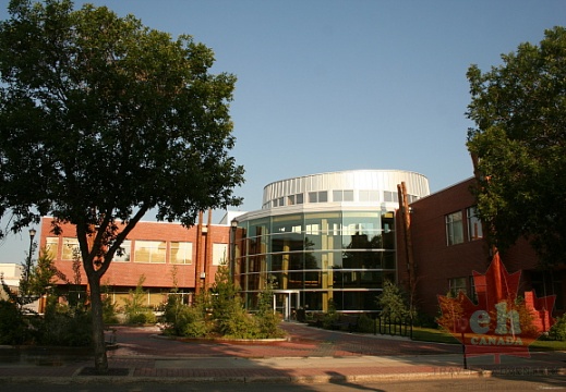Forest Centre in Prince Albert
