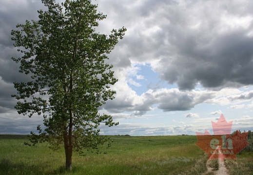Grassland Trail in Saskatoon