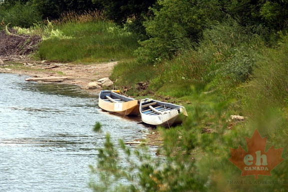 Beached Canoes