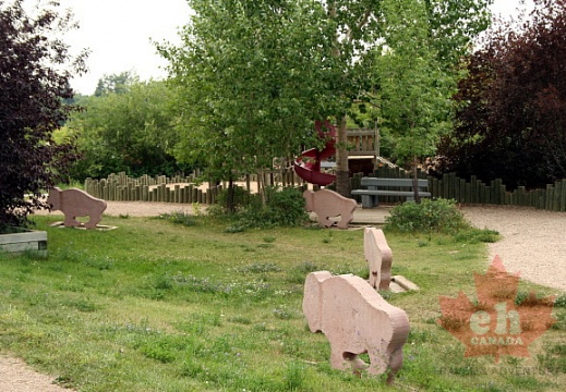 Buffalo Herd Playground