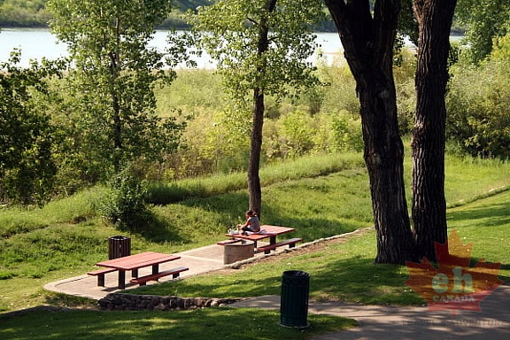 Picnicking in Saskatoon