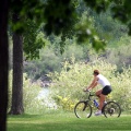 Biking Path in Saskatoon
