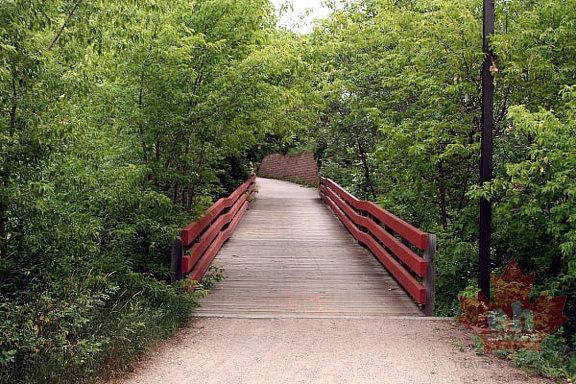 Bridges on Trail