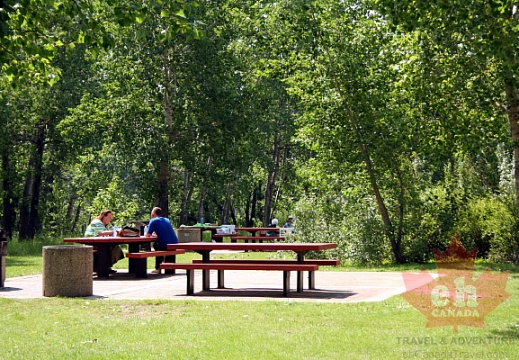 Picnicking in Saskatoon