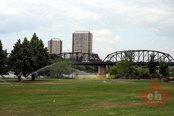 Grass Lawns in Rotary Park