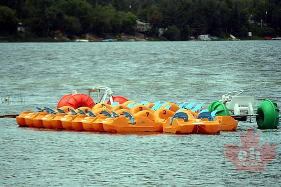 Paddle Boats