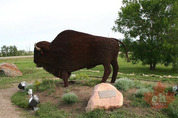 bison-statue20090725_630001.JPG