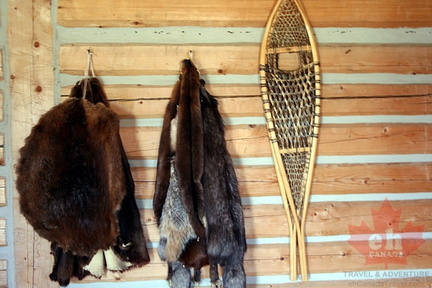 Trading Furs