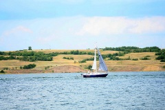 Sailing in the Winds of Regina