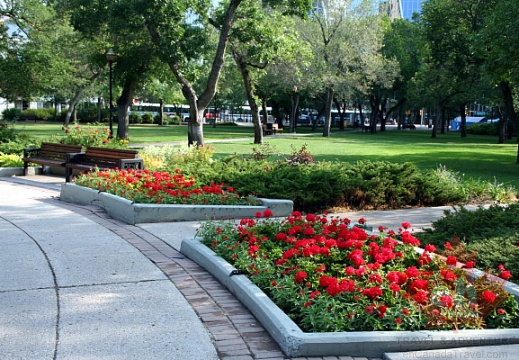 Victoria Park Flower Gardens