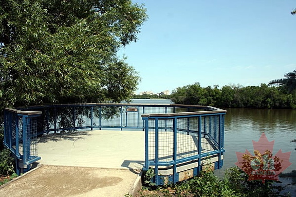 Spruce Island Lookout