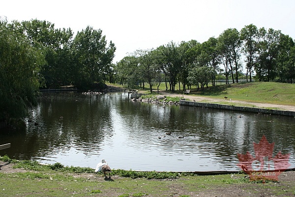 Display Ponds in Regina
