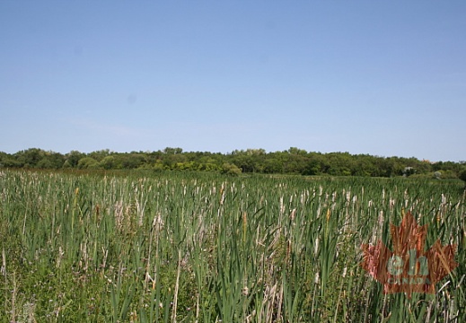 Wetlands of Regina