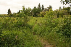 Trans Canada Trailin Wakamow Valley