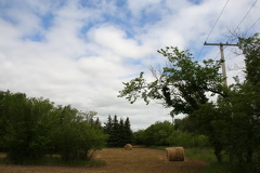 Farming Fields in Moose Jaw
