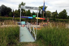 Cat Tails and Tours in Moose Jaw