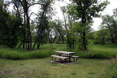 Picnicking in Rotary River Park