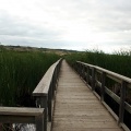 Boardwalk Trail
