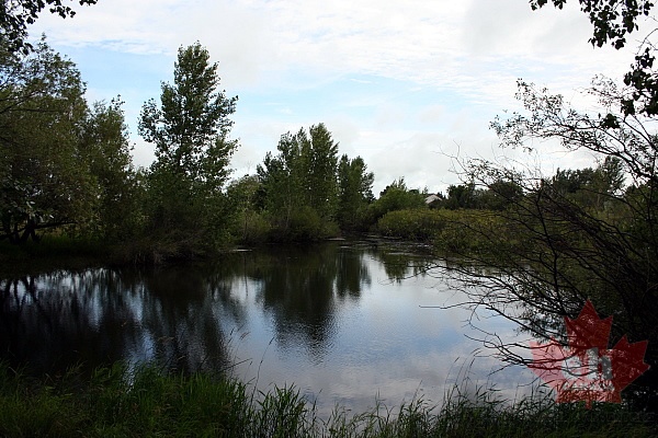 Creek Views in Sunningdale Park