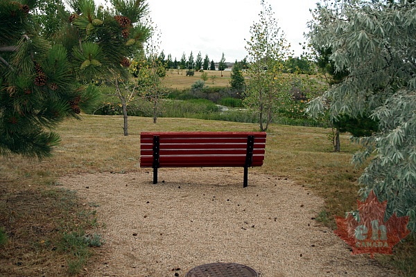 Sightseeing Bench
