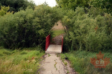 Bridge of Fields