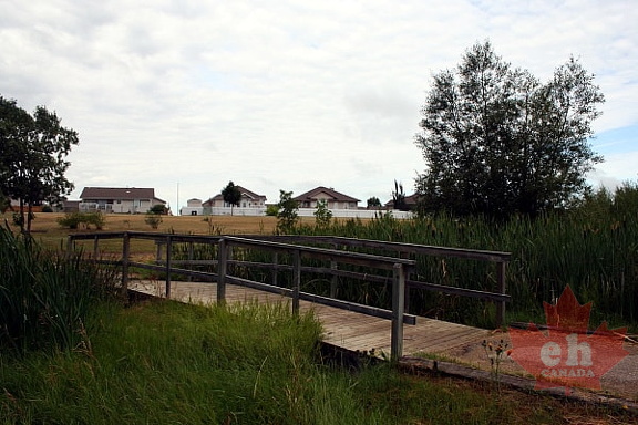 Trail Brdge in Sunningdale