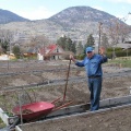 Gardening