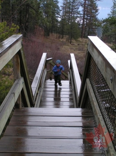 Children Enjoying Nature