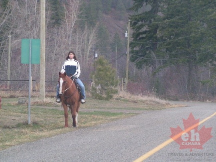 Fintry Horseback Riding