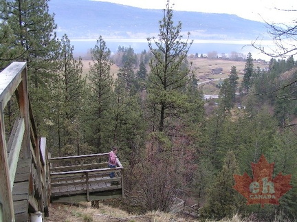 Lookout