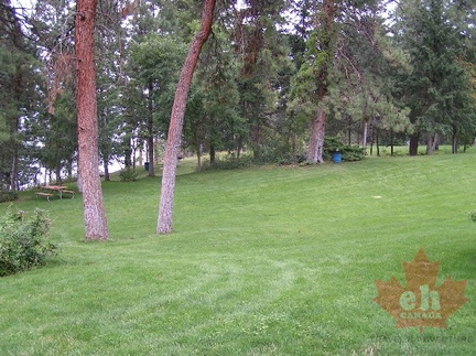 Grass Lawns
