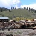 Cattle Ranch