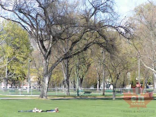 Suntanning