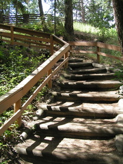 Steps