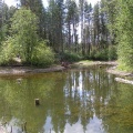 Exploring Creek