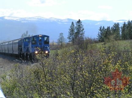 Train