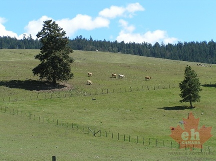 Farm Fields