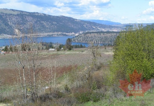 Kalamalka Lake
