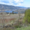 Kalamalka Lake