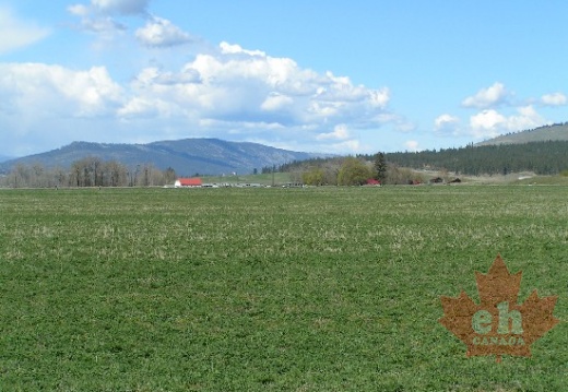 Winfield Farm Fields