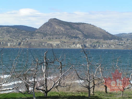 Lakeshore Orchard