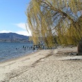 Okanagan Lake Beach