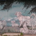 Murals