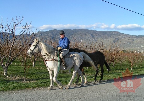 Horseback Riding
