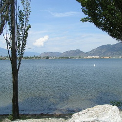 Haynes Point Park