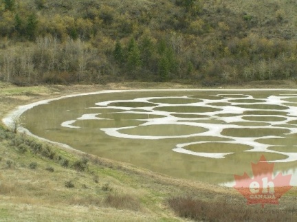 Views of Lake